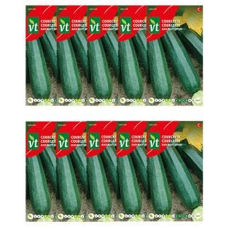 Courgettezaad | VT | 10 stuks, Tuin en Terras, Bloembollen en Zaden, Verzenden