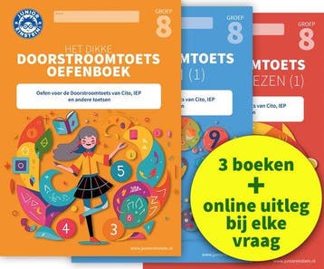9789493218659 Doorstroomtoets Oefenpakket + Online video-..., Verzenden, Nieuw