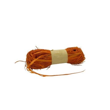 Raffia bruin 50g - natuurlijk bindmateriaal voor bloemwerk &, Hobby en Vrije tijd, Ophalen of Verzenden, Nieuw