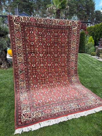 Top Indo-Herati Tapijt - Tapijt - 320 cm - 200 cm, Nieuw