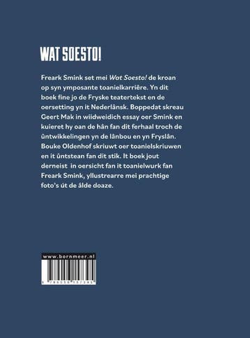 Wat soesto! 9789056157395 Freark Smink, Verzenden, Gelezen, Freark Smink