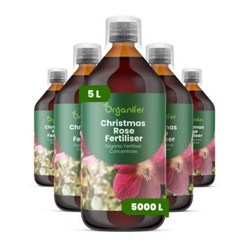Kerstroos Vloeibare meststof - 5x1 liter, Verzenden, Mest