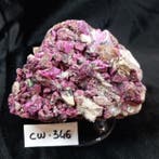 kobaltocalciet Kristallen op matrix - Hoogte: 11 cm -