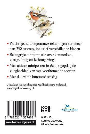 Vogels / Compactgids 9789021567662, Verzenden, Zo goed als nieuw