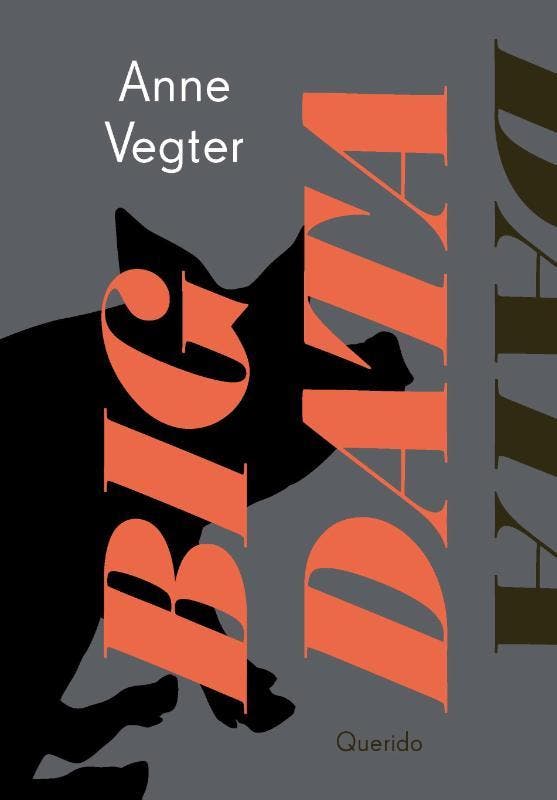 Big Data 9789021417257 Anne Vegter, Boeken, Overige Boeken, Nieuw, Ophalen of Verzenden