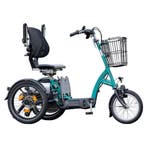 scootmobielfiets van Raam Easy Go, Ophalen of Verzenden, Nieuw