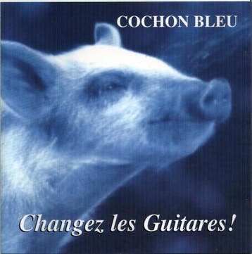cd - Cochon Bleu - Changez Les Guitares!, Verzenden, Zo goed als nieuw