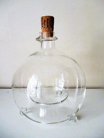Fles - Mondgeblazen glas - Vliegen- wespenvanger