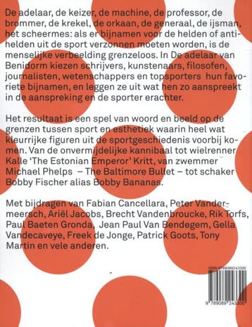 De A. Delaar van B. Enidorm 9789089243300 Steffy Merlevede, Verzenden, Gelezen, Steffy Merlevede