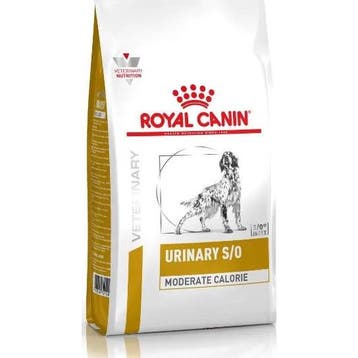 Royal Canin urinary S/O ageing 7+ hondenvoer 3,5kg zak, Verzenden, Hond