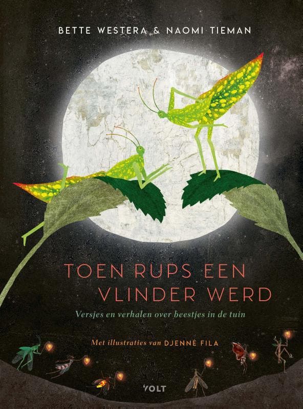 Toen Rups Een Vlinder Werd | Bette Westera; Naomi Tieman, Boeken, Overige Boeken, Nieuw, Ophalen of Verzenden