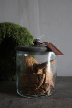 Aura Peeperkorn glazen voorraadpot 16 x 15 cm, Ophalen of Verzenden, Nieuw