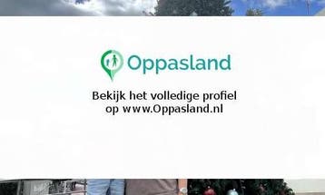 Jolanda zoekt een oppas in Hoofddorp voor 1 kind.