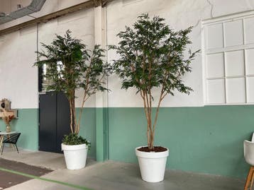 Online veiling: Kunstboom in witte plantenpot, Nieuw