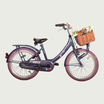 Alpina kinderfiets 20 inch, Ophalen of Verzenden, Gebruikt, Alpina