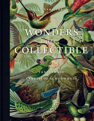 Wonders are collectible - Jeroen Lemaitre 9789401429696, Verzenden, Gelezen, Jeroen Lemaitre