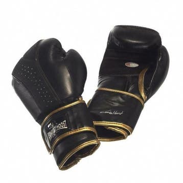 Ernesto Hoost Ultimate Boxing Gloves, Ophalen of Verzenden, Nieuw