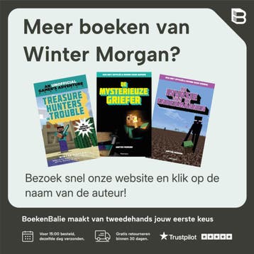 The Quest for the Diamond Sword - Winter Morgan, Verzenden, Gelezen, Winter Morgan