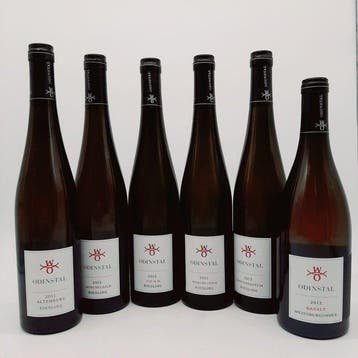 Odinstal; Altenburg, Muschelkalk x2, N.N. Riesling,, Nieuw