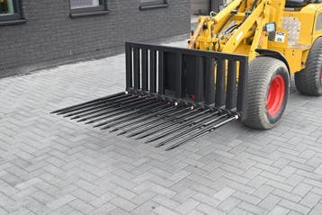 Tegelriek Knikmops, Giant, Relly, Verzenden