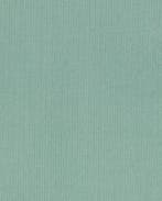 Baby Rib Mint, Nieuw, Groen