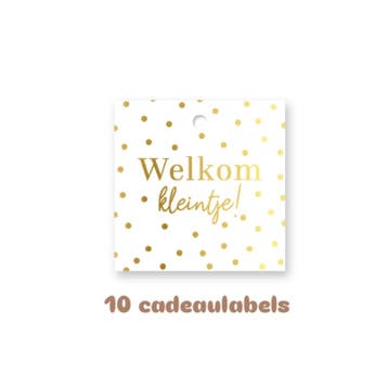 10x Cadeaulabel Welkom kleintje - geboorte (Per 10 Stuks), Ophalen of Verzenden, Nieuw
