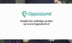 Maikel zoekt een oppas in Vogelenzang voor 1 kind.