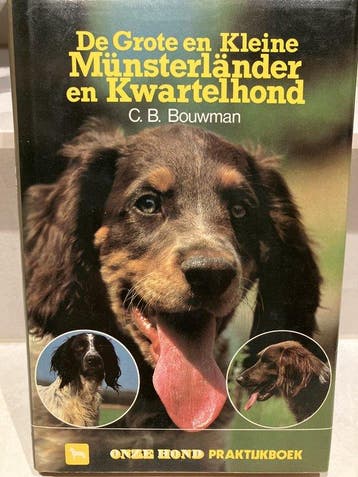 GROTE EN KLEINE MÜNSTERLÄNDER 9789062482399 Richard Bouwman, Verzenden, Gelezen, Richard Bouwman