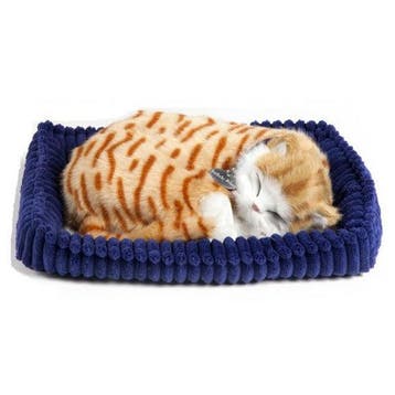 Pluche slapende kat rood - knuffel - met geluid - 25 cm, Verzenden, Nieuw