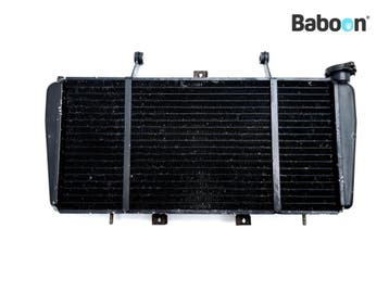 Radiateur Triumph Sprint ST 955 / T 596 2002-2004 (T596, Verzenden, Gebruikt