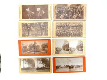 8 stereoviews van Nederland - Wonderboom Zeist,, Verzamelen