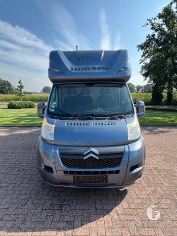 Nieuwstaat Citroën paardenwagen, opbouw 2023!, Dieren en Toebehoren, Ophalen, Zo goed als nieuw, Polyester, 2-paards trailer
