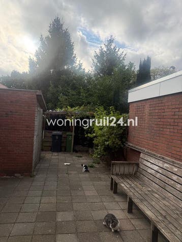 Woningruil - Kastanjelaan 29 - 5 kamers en Groningen, Groningen