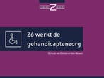9789493004122 Zo werkt de gehandicaptenzorg | Tweedehands, Verzenden, Zo goed als nieuw, Gertrude van Driesten