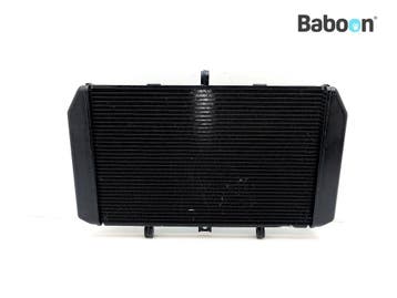 Radiateur Kawasaki Z 1000 2010-2013 (Z1000 ZR1000D-E), Verzenden, Gebruikt