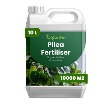 Pilea vloeibare meststof - 10 liter, Verzenden, Mest