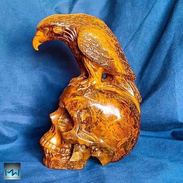 Sculptuur van een kraai op een menselijke schedel, met de, Verzamelen