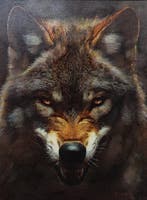 Davor Ivkovi (1965) - Wolf