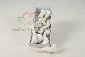 Duifjes Witte duiven 10x3 cm en 5x4 cm doos 12 stuks, Ophalen of Verzenden, Nieuw