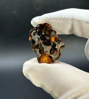 Sericho meteoriet Pallasiet - 9 g - (1)