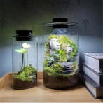 USB Kweeklamp LED Dimbaar met Timer voor Planten, Verzenden, Nieuw