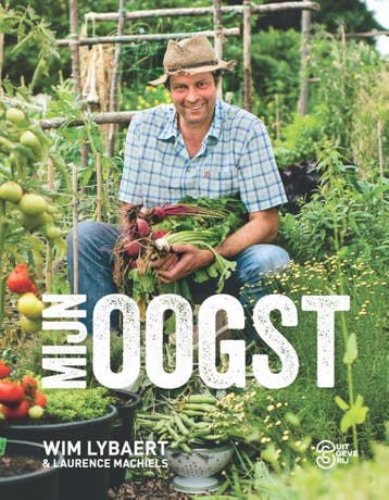 Mijn oogst - Wim Lybaert 9789022330418, Boeken, Verzenden, Zo goed als nieuw, Wim Lybaert
