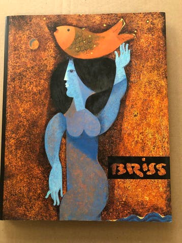 Samy Briss - Monografie Grote Platen van Schilderijen NIEUW, Boeken, Ophalen of Verzenden, Zo goed als nieuw, Schilder- en Tekenkunst