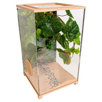 Insecten Terrarium – BioDome Bruin (20x20x34), Dieren en Toebehoren, Insecten en Spinnen