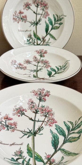 Villeroy & Boch - Bord (4) - Botanica - Porselein - diepe, Antiek en Kunst