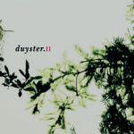 cd digi - Various - Duyster.II, Verzenden, Zo goed als nieuw