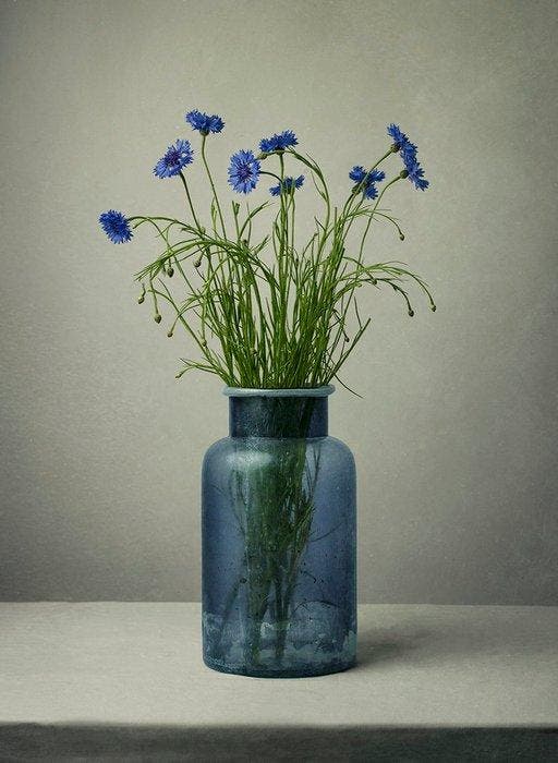 Tessa Posthuma de Boer - Cornflowers, Antiek en Kunst, Kunst | Designobjecten