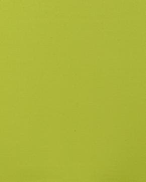Punta di Roma Lime Groen, Nieuw, Groen