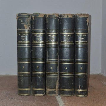 Valleix - Guide du médecin praticien - 1850