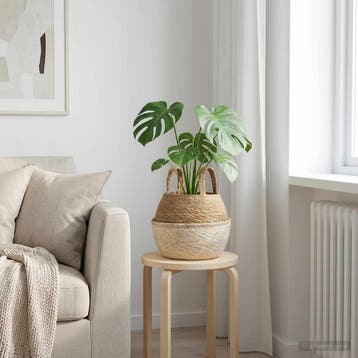 vidaXL Plantenpot met handvatten Wit Ø 22 x 20 cm 100%, Verzenden, Nieuw, Minder dan 30 cm